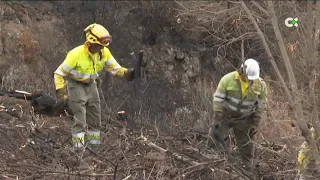 Los efectivos continúan con las labores de extinción un mes después del incendio de Tenerife