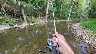 Creek Fishing for TROUT with Inline Spinners