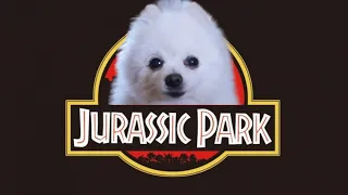 Jurassic Park(Dog Cover)