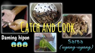 Panunuyo/Pagsasarsa ng Hipon (Catch and Cook) || CALATRAVA ROMBLON