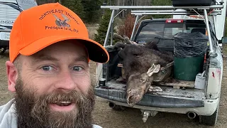 Maine Moose Hunt - October 2023 - Zone 2