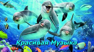 Красивая Музыка Рождается Светлой Душой! Послушайте!