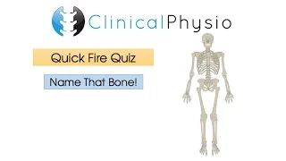 Name That Bone | Clinical Physio