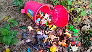 Plastic animals Toy | Zoo Animals | animals toys collection | animal toys found in the dustbin