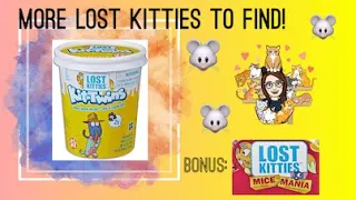 More Lost Kitties to Find!