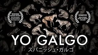 Yo Galgo - Full Documentary