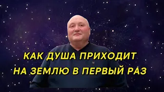 Как душа приходит на Землю