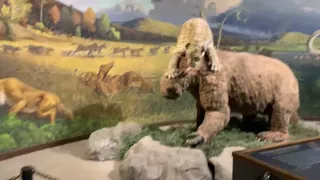 La Brea Tar Pits Museum La CA part 4