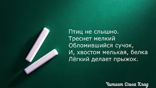 Александр Твардовский "Лес осенью" Читает Ольга Клад