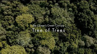 The story behind The Queen's Green Canopy Tree of Trees