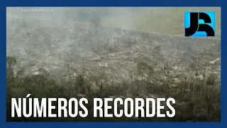 Mourão nega ter recebido dados sobre o desmatamento antes da COP26