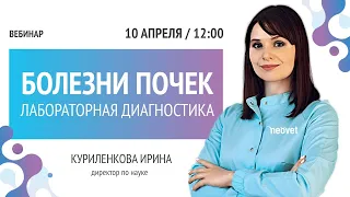 Ирина Куриленкова - Лабораторная диагностика болезней почек