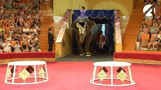 В Астрахань приехал Варшавский цирк со слонами