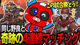 【奇跡】同じ野良と4連続で味方同士になり、友情が芽生えてくるCHEEKY【ApexLegends/CHEEKY】