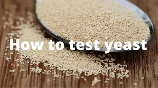 Is Your Yeast STILL ALIVE? This BAKING HACK will save you $$$. How to test yeast.