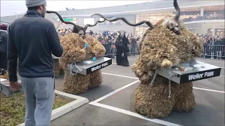 Perchtenlauf vor huma eleven 2018 [1/3]