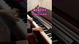 ЩЕДРИК на фортепиано. Carol of the Bells | Piano version.