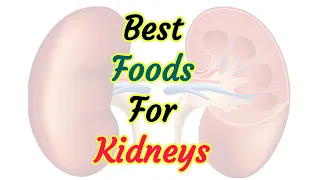 Best 10 foods that make your kidneys healthy