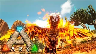 ФЕНИКС КАК ПРИРУЧИТЬ И НАЙТИ В ARK Survival Evolved