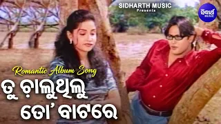 Tu Chalu Thilu To Batare | Udit Narayan | Superhit Romantic Album Song | ତୁ ଚାଲୁଥିଲୁ ତୋ ବାଟରେ