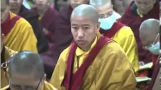 Karmapa- 21 Tara
