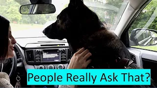 Answering the Top 10 Most Googled Questions on How Blind People do Things