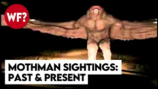 The Mothman Returns: Point Pleasant Legend to Chicago Terror