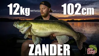 RECORD ZANDER!! - 12kg & 102CM