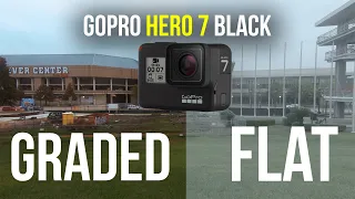 4k GoPro Hero 7 Black - GoPro Color vs Flat Protune + Color Grade Test