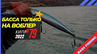 Ловлю басса только на воблер! 🔥 Рыбалка на Кипре 🇨🇾 Часть 79 Сезон 2022