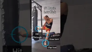 4 Types of Low Kicks