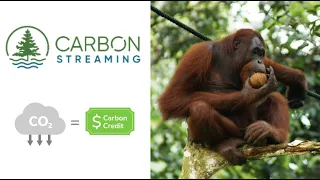 Carbon Streaming: An ESG Stock Left For Dead