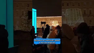 Главная ёлка Санкт-Петербурга 2023! Красавица!