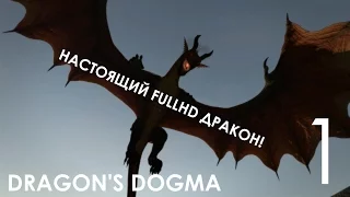 Dragon's Dogma Dark Arisen Прохождение на русском (русская озвучка) Часть 1 Я ИЗБРАННЫЙ!