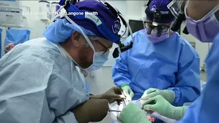 Surgeons successfully transplant pig kidney into brain-dead patient