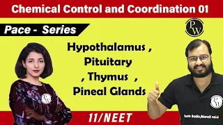 Chemical Control & Coordination 01 | Hypothalamus, Pituitary, Thymus, Pineal Glands | 11 | NEET