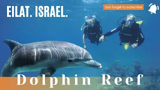 Amazing Dolphin Reef Beach in Eilat. Israel.