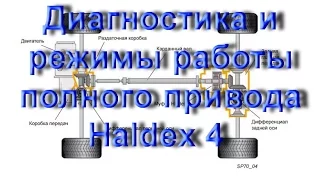 Как Проверить полный привод Haldex  в VCDS Вася Диагност  на VAG