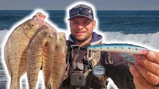 California Coast Surf Fishing I ALWAYS Bring These 2 Baits To The Beach To Fish For Perch!