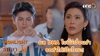 ผล DNA ใบนี้มีเงื่อนงำ ขอทำให้เป็นโมฆะ! | Highlight #ซิ่นลายโส้ EP39 | ดูย้อนหลังฟรีทางแอป #oneD