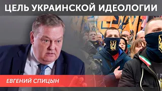 Евгений Спицын про главную цель украинской идеологии