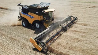 New Holland CR10.90 | MacDon FD241 | Trebbiatura grano 2023