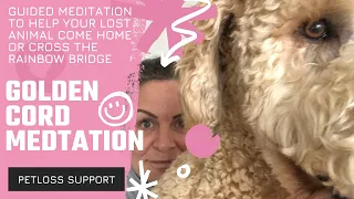 Guided meditation -  help your missing pet come home