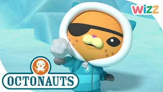 @Octonauts - The Coldest Place on Earth? | Wizz | Cartoons for Kids