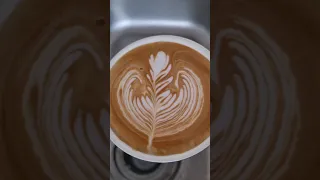 Rosetta latte art