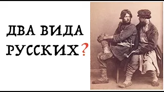 РУССКИЙ КАИН, ГДЕ РУССКИЙ АВЕЛЬ? ДВА АНТРОПОЛОГИЧЕСКИХ ТИПА РУССКИХ.Лекция историка Александра Палия