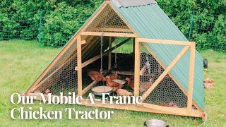 Building a DIY A-Frame Chicken Tractor