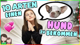 10 Arten seine Eltern zu einem HUND zu überreden! 🐶 Wie bekomme ich einen Welpen? 🥰 Alles Ava