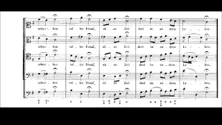 BWV 248 - Weihnachtsoratorium - 3er Teil - N° 33 Choral - Ich will Dich mit Fleiß bewahren