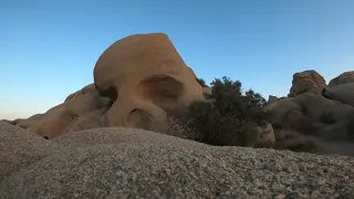 Joshua Tree, California